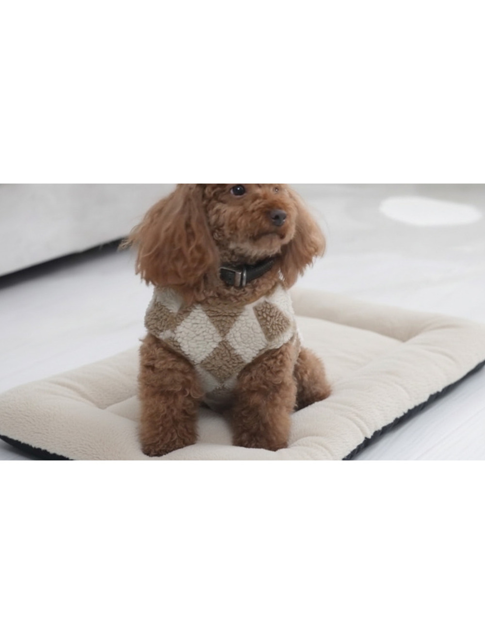 Ultra Soft Kennel Plush Dog Bed Mat with Raised Edges - Beige, 48x29 inches